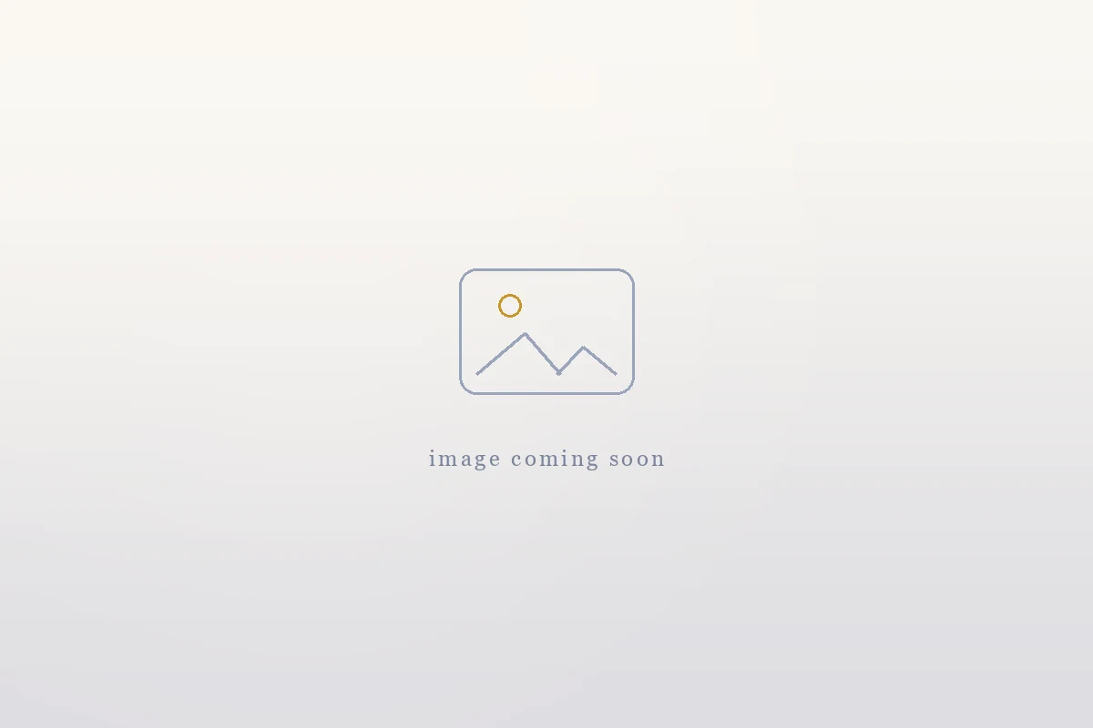 Placeholder — photograph of Sharon Shehdan, this quarter's Very Important Volunteer